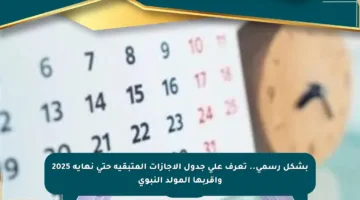 بشكل رسمي.. تعرف على جدول الإجازات المتبقية حتى نهاية 2025 وأقربها المولد النبوي